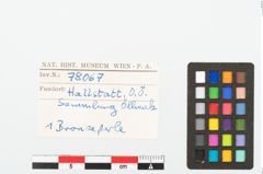 Foto von Bronzeperle (NHMW-PRAE-078067)